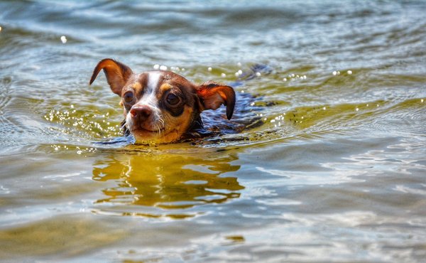 partir en camping : conseils pour les débutants
